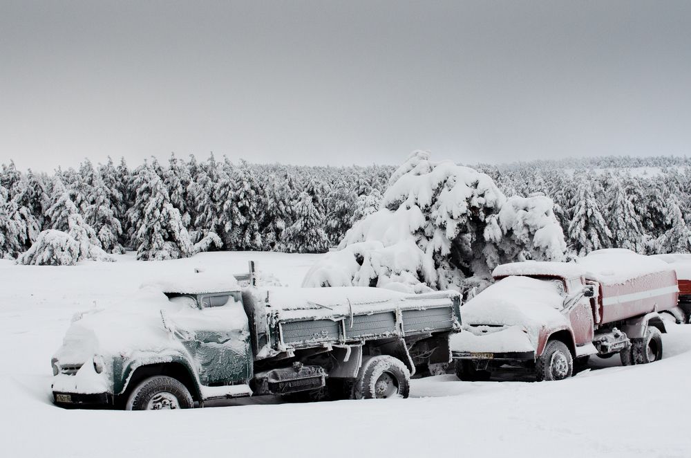 Photograph by Максим Ушаков