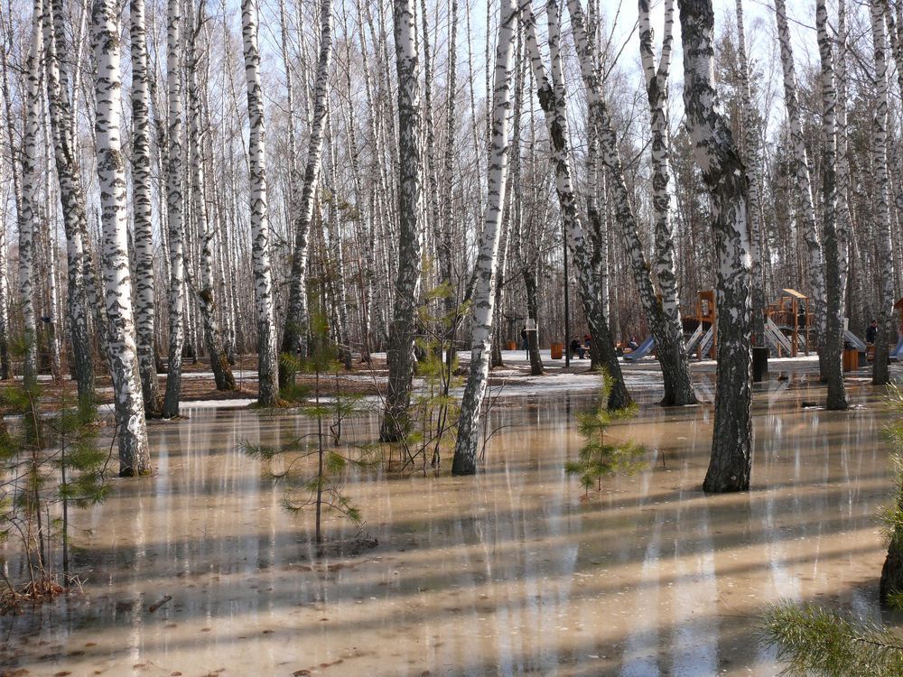 Photograph by Людмила Федорчак