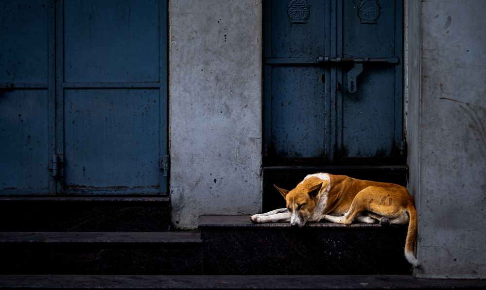 Photograph by Thakor Virendrasinh