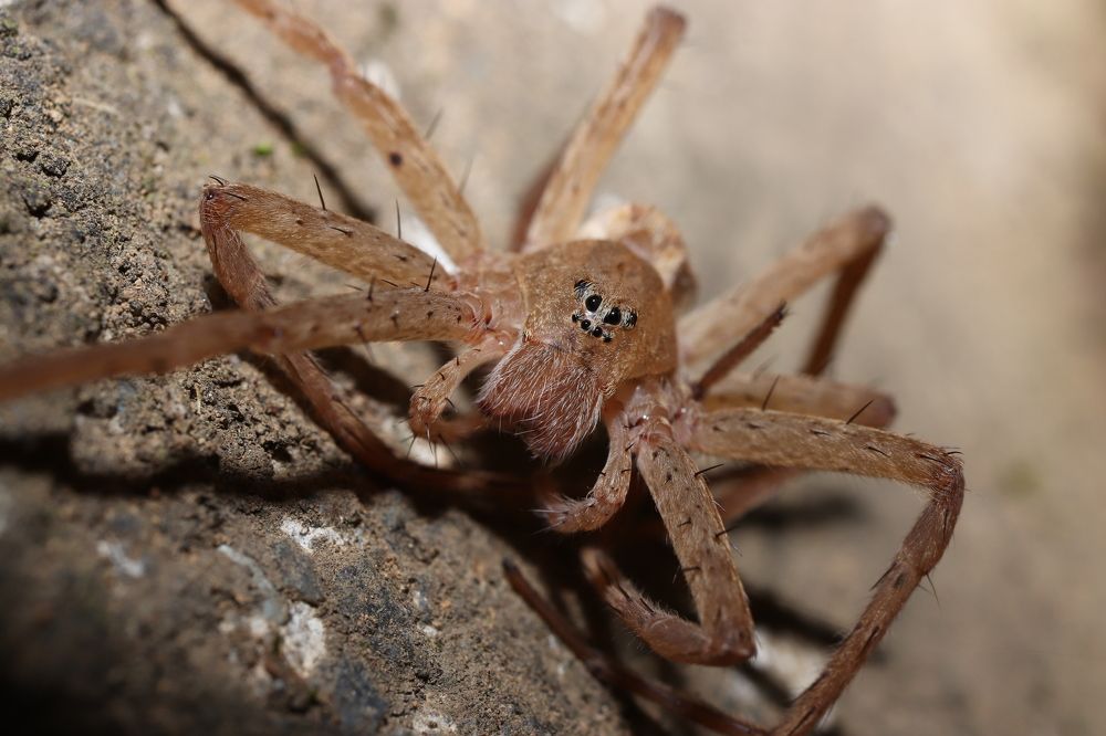 Photograph by Se Lena