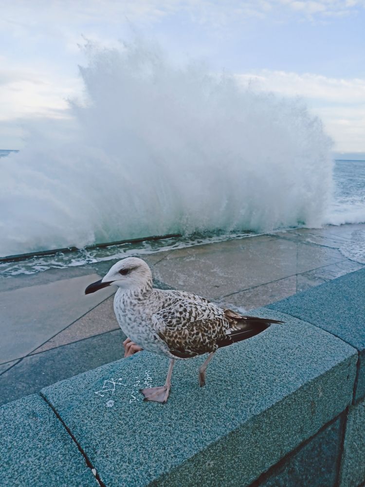 Photograph by Наталья Шраменко