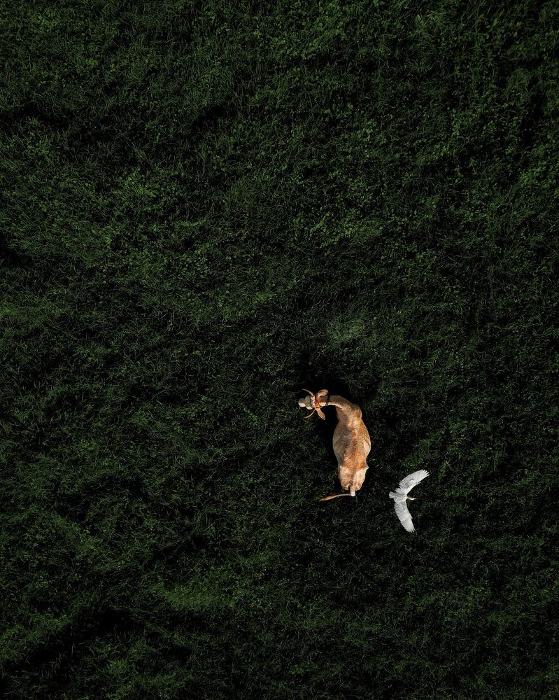 Фотография автора Prabhashwara PSC