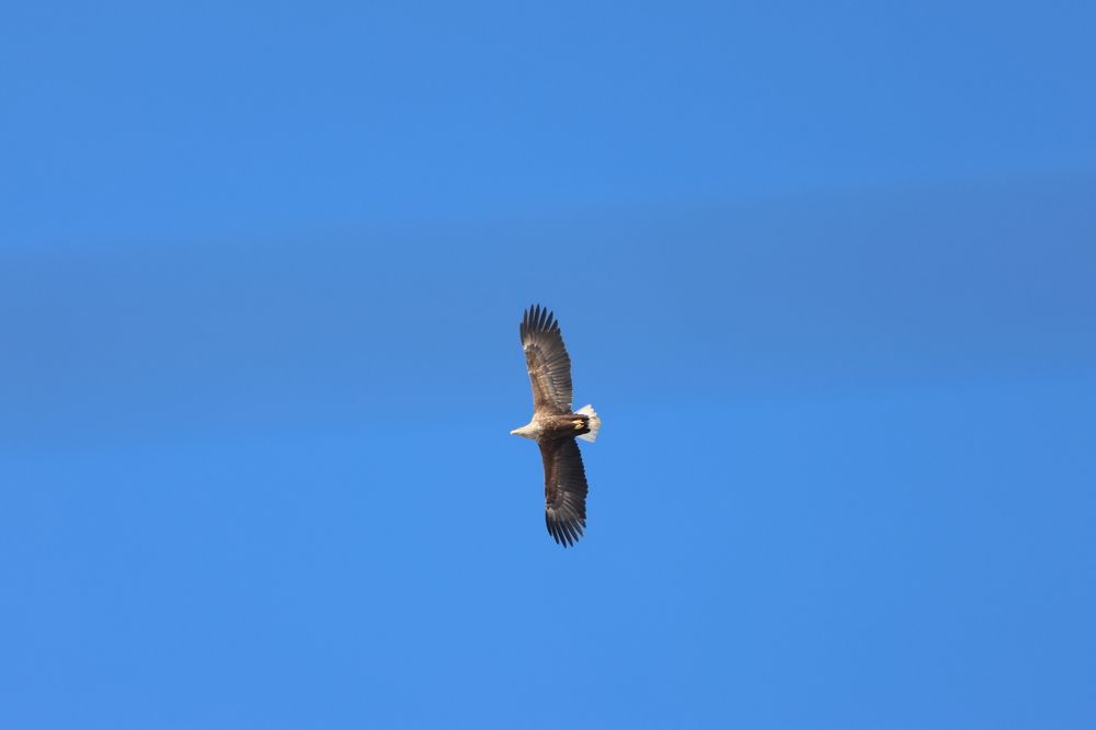 Photograph by Алексей Михайлов