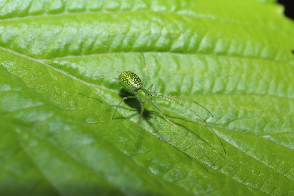 Photograph by Se Lena