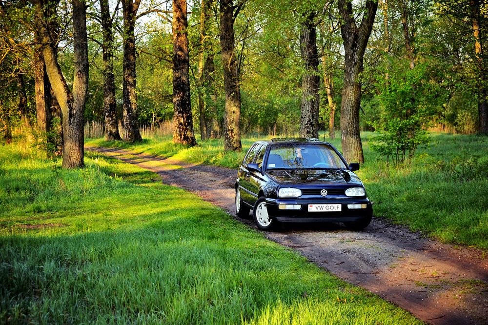 Фотография автора Роман Володащик