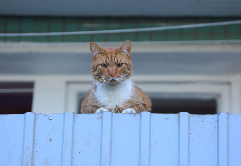 Photograph by Станислав Вершинин