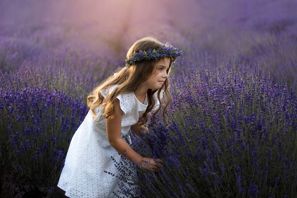 Photograph by Nauzika Hegyi