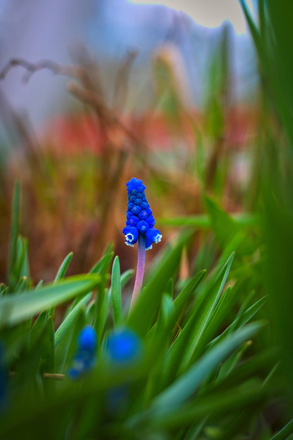 Photo #9087004