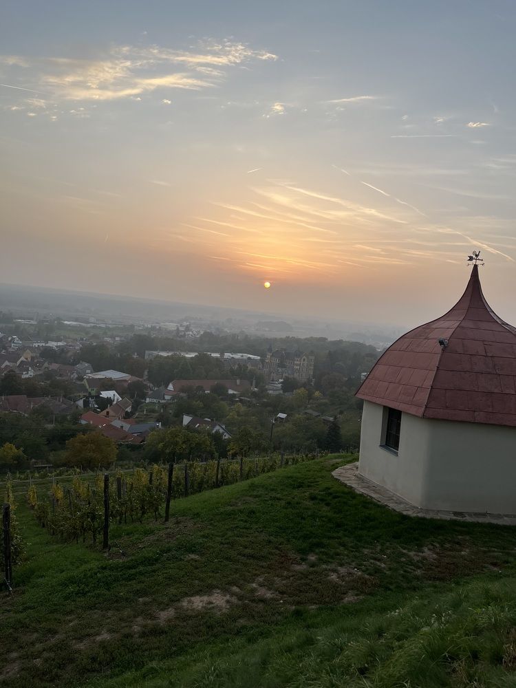 Photograph by Алина Цилык