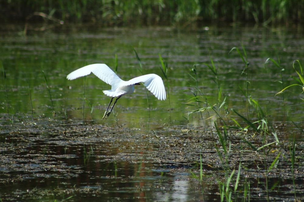 Photograph by Ирина Шибитова