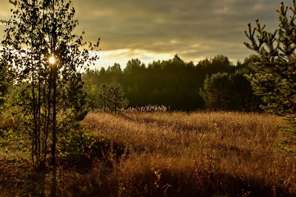 Photograph by Роман Пацкевич