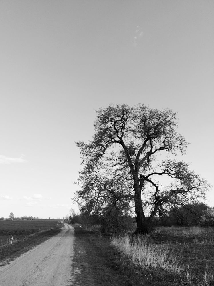 Photograph by Михаил Тумилович