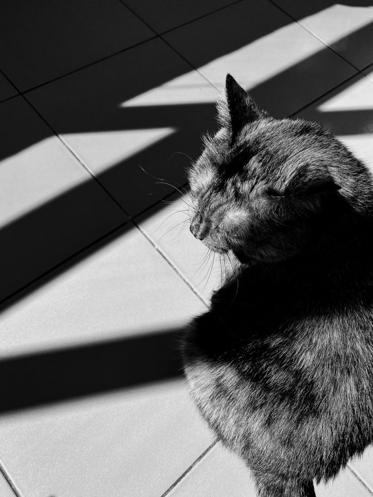 Photograph by Ирина Щербакова