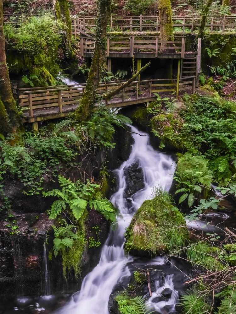 Photograph by Jose Antonio Novelle Cao