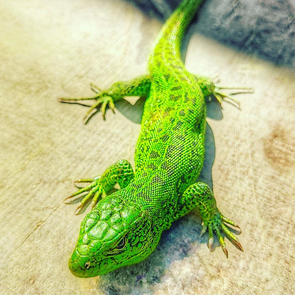 Photograph by Валентин Волк