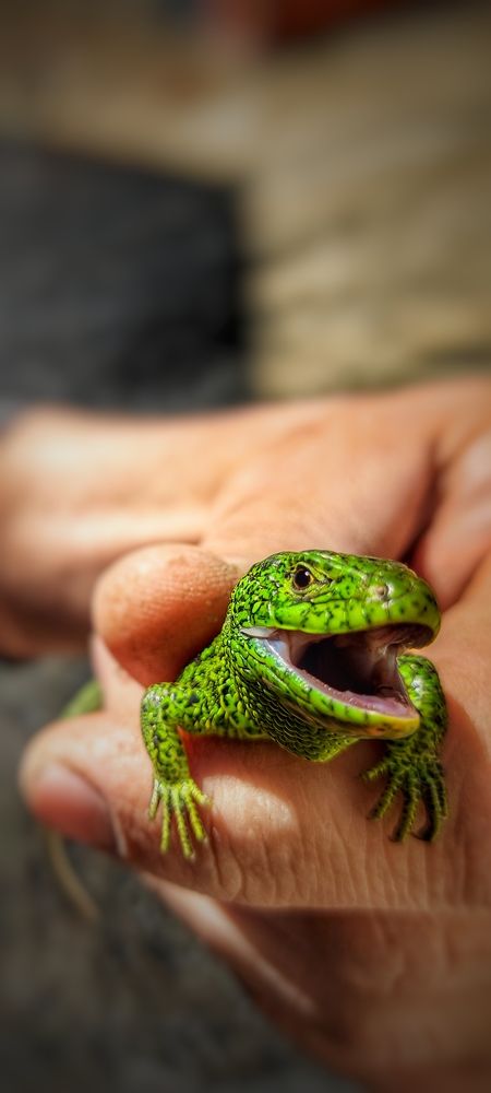 Photograph by Валентин Волк