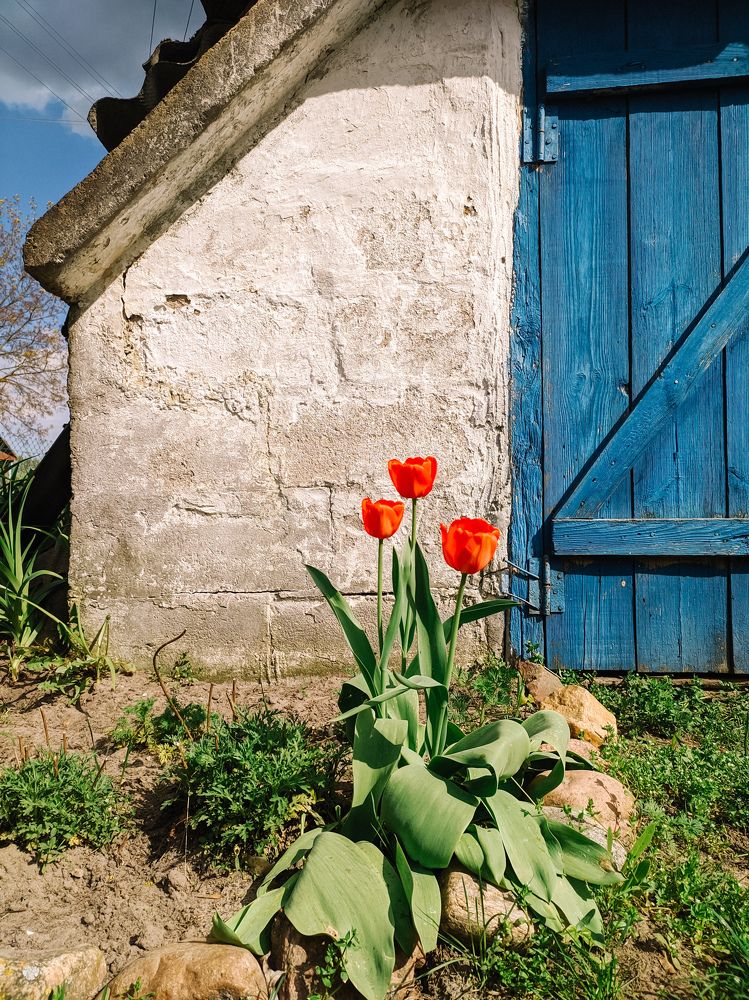 Photograph by Юлия Гашева