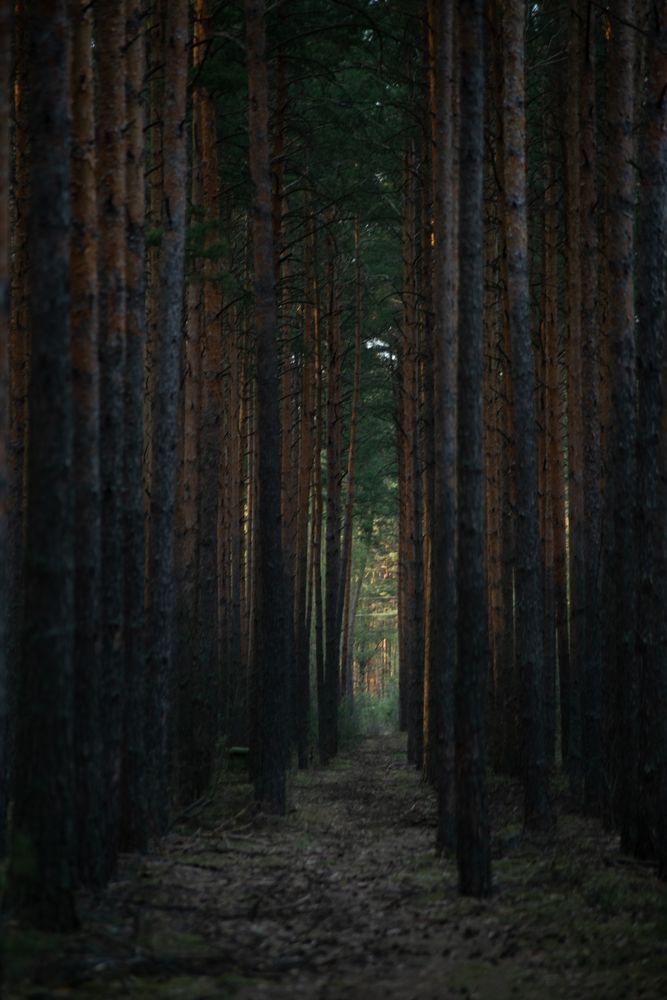 Фотография автора Алёна Подгорная
