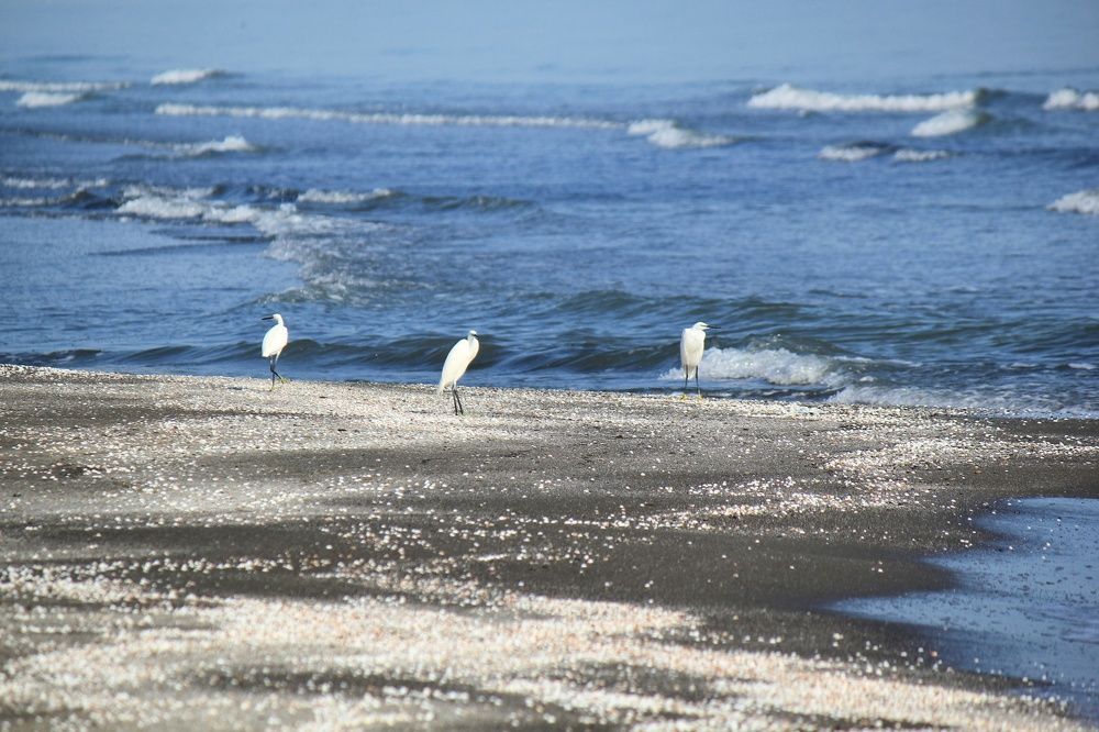 Фотография автора mohammad mehdi