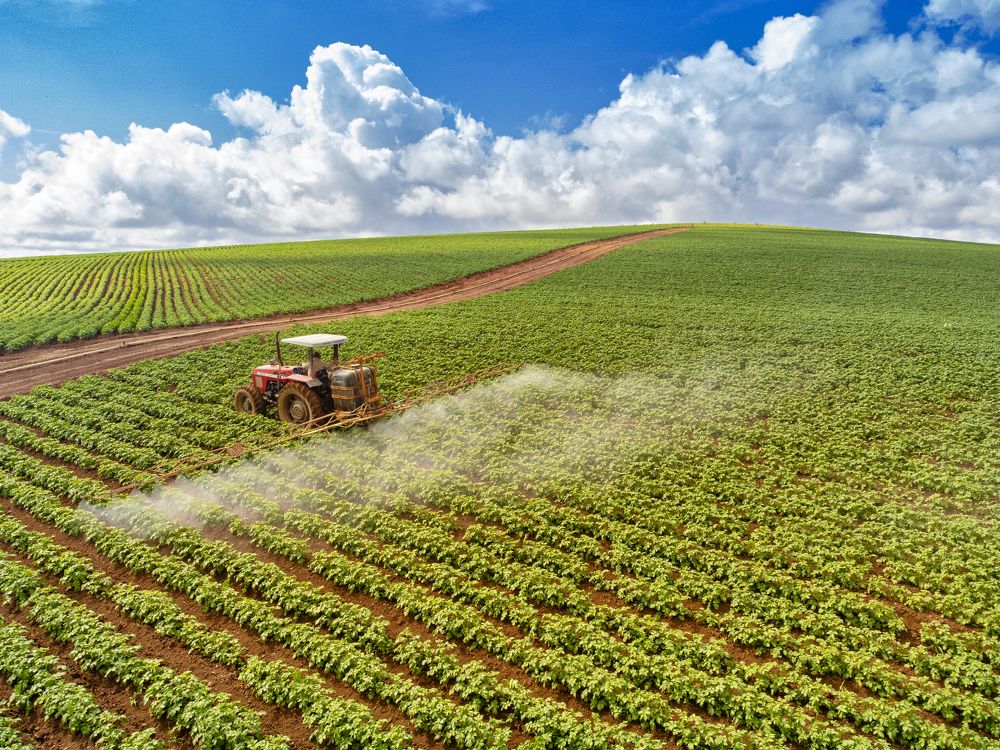 Photograph by Victor Imesi