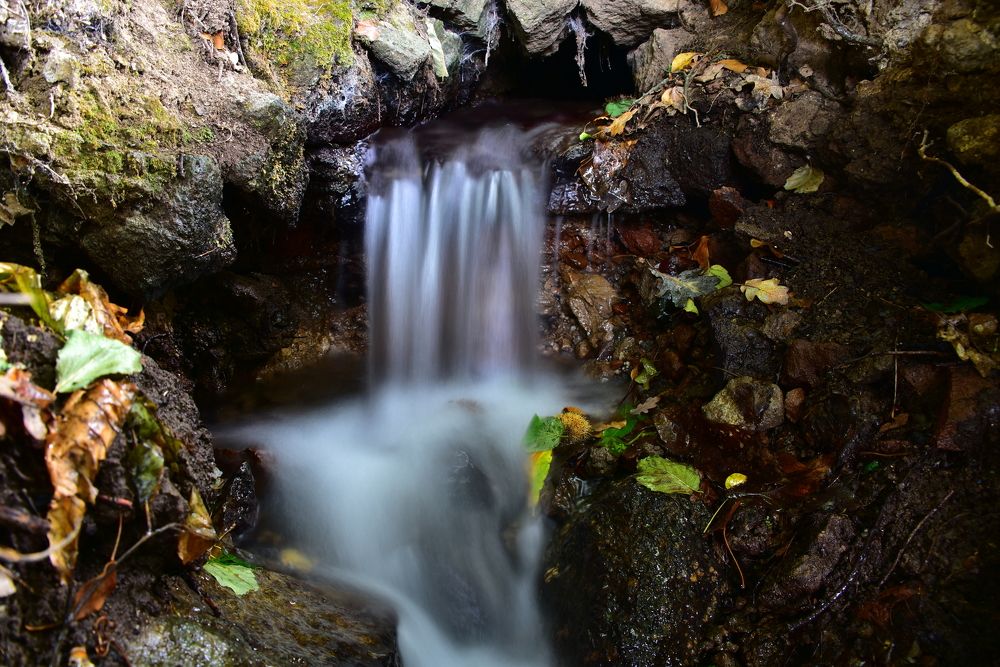 Photograph by Светлана Ивановна