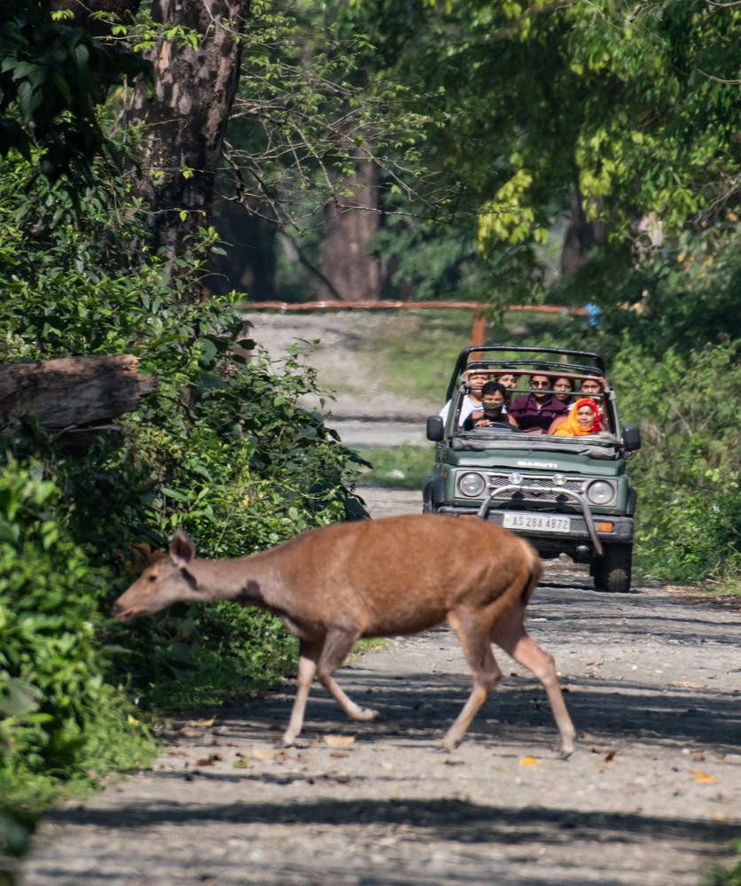 Photograph by Roy Mantu