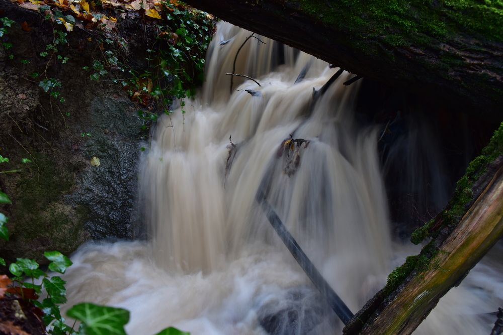 Photograph by Светлана Ивановна