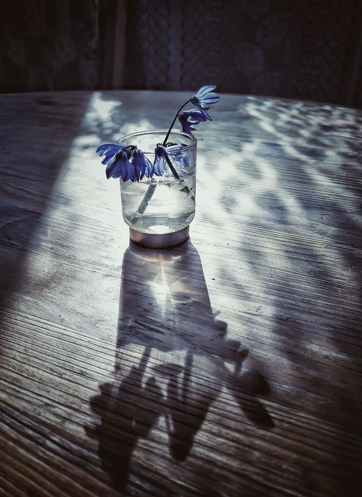 Photograph by Ольга Мартьянова