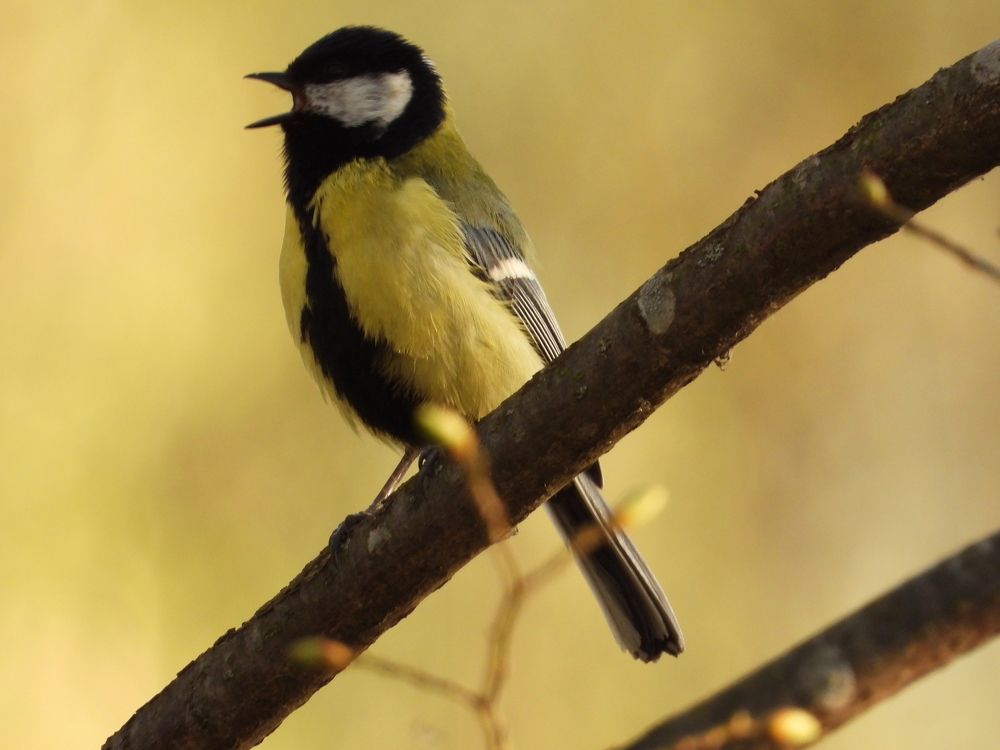 Photograph by Владимир Джерихов