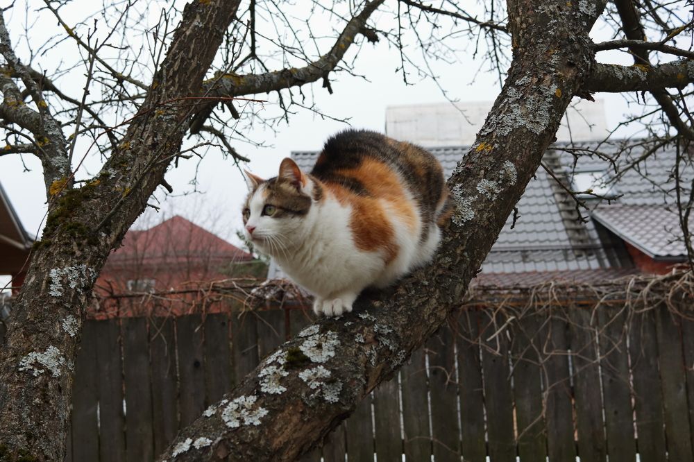 Photograph by Сергей Щербаков