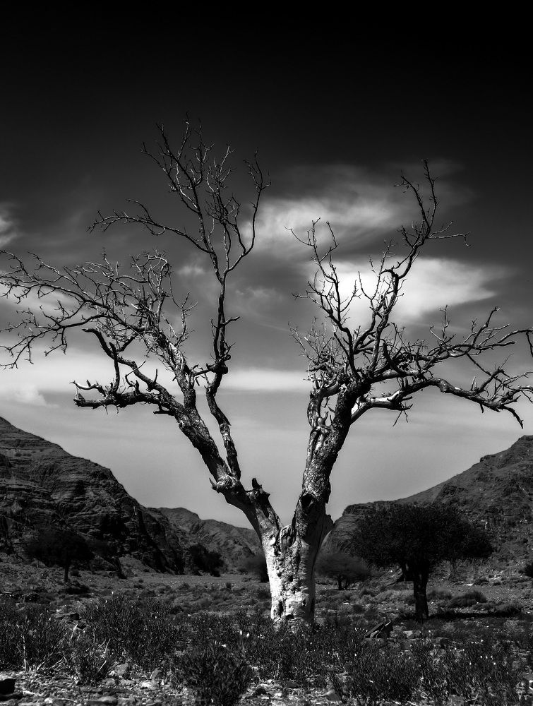 Photograph by Sohail Baloc