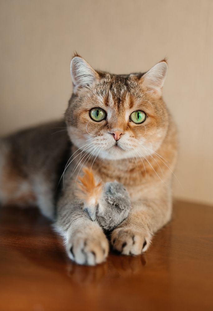 Photograph by Дмитрий Торжинский