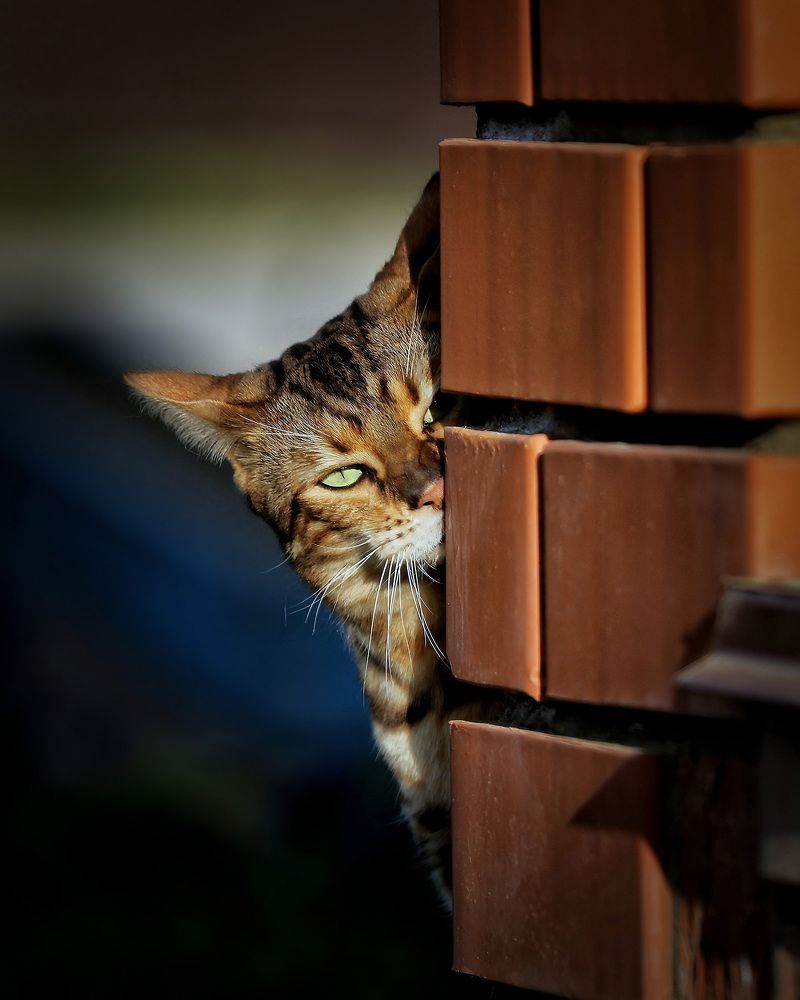 Photograph by Андрей Автухов