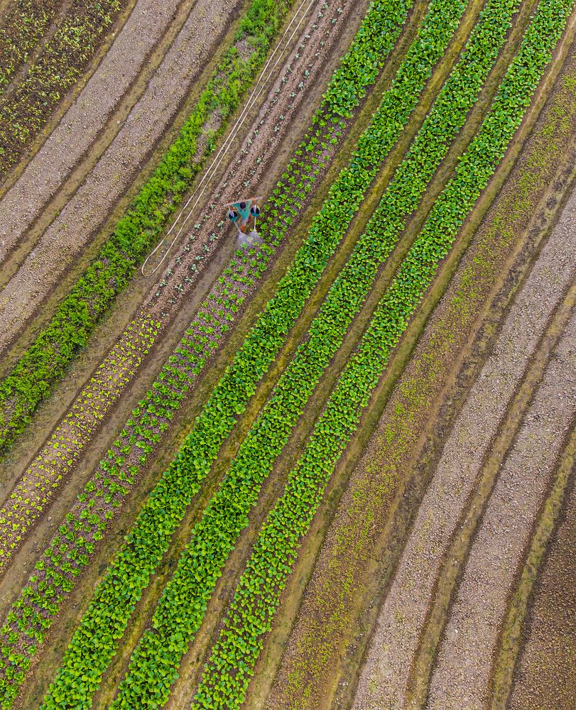 Photograph by Minh Chu Van