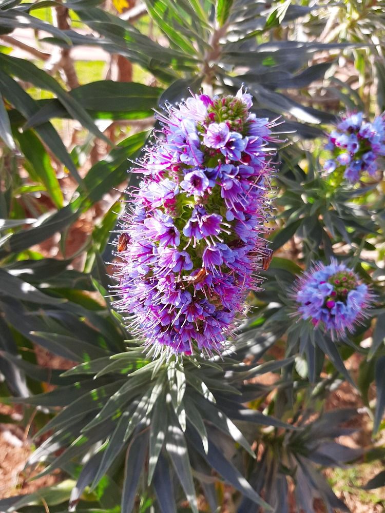 Photograph by Bucur Claudia