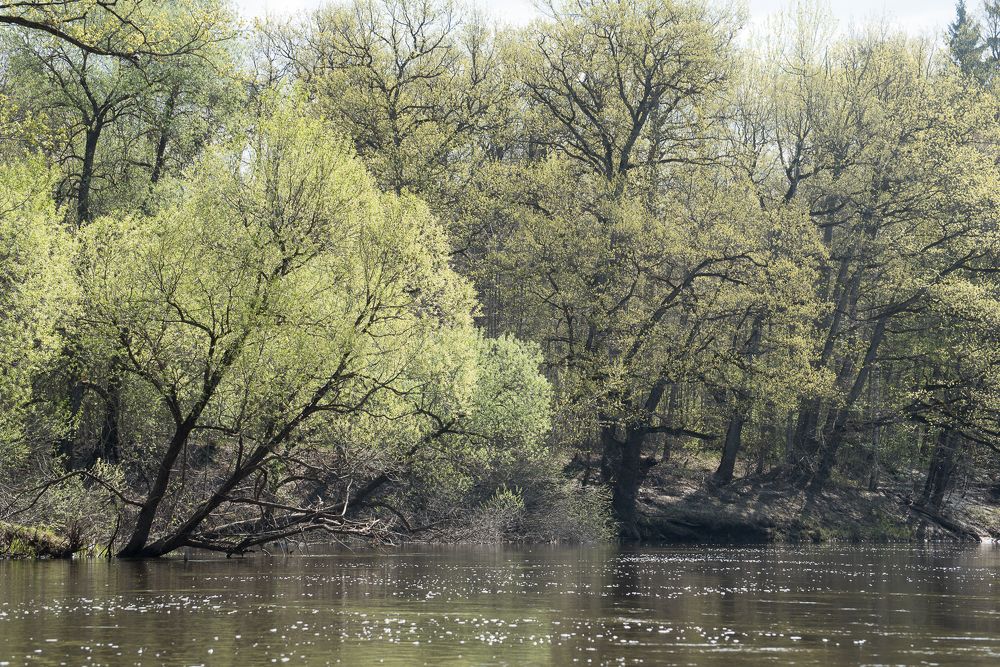 Photograph by Максим Ушаков