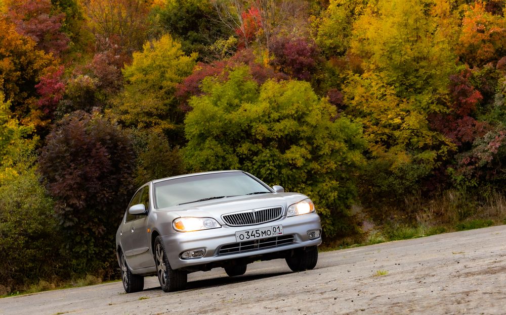 Photograph by Дмитрий Несветайлов