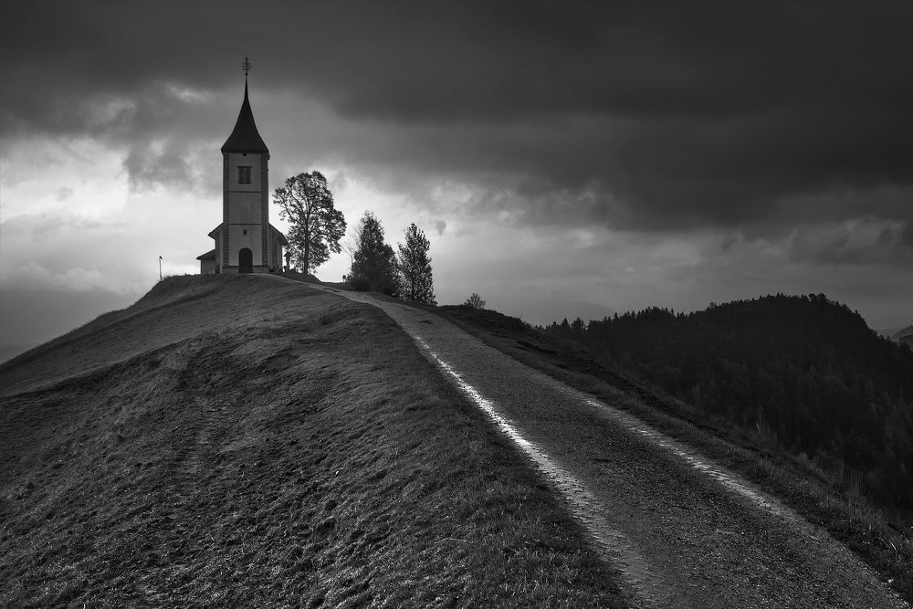 Фотография автора 