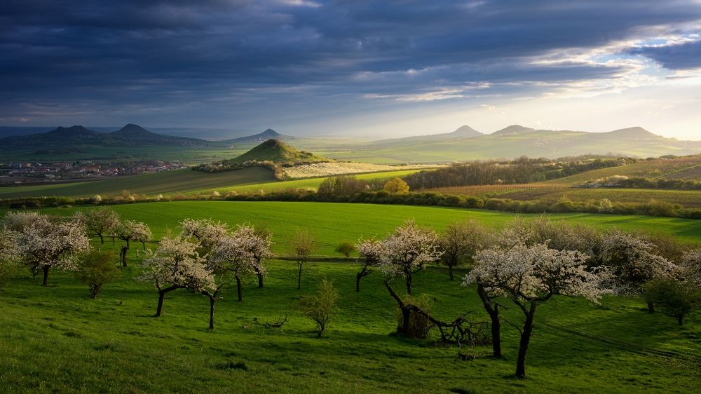 Photograph by Petr Kovar