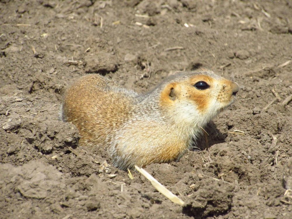 Photograph by Денис Веску