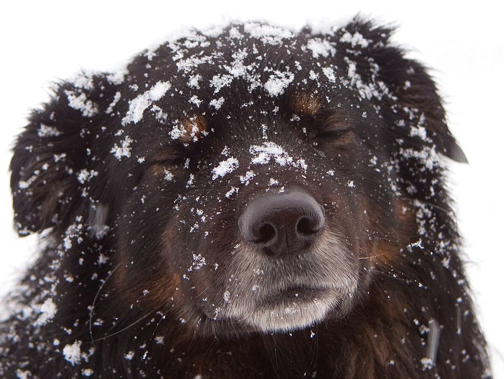 Photograph by Юрий Спасенников