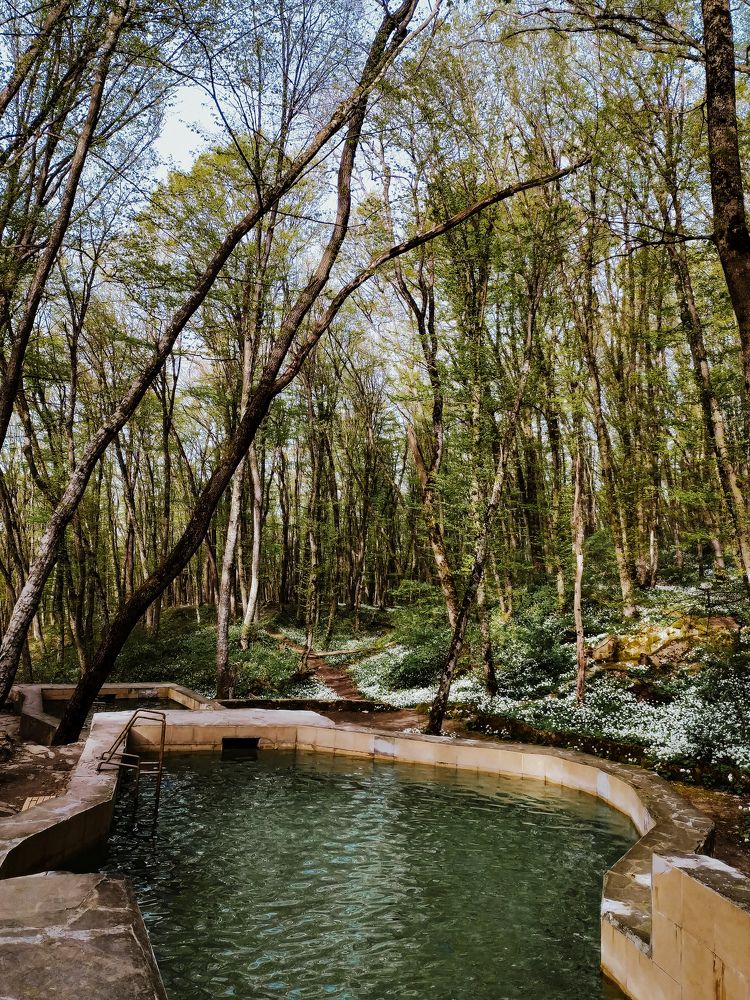 Photograph by Tatiana