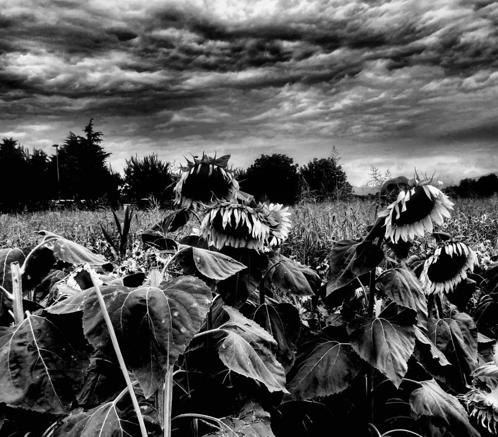 Photograph by sergio maritan