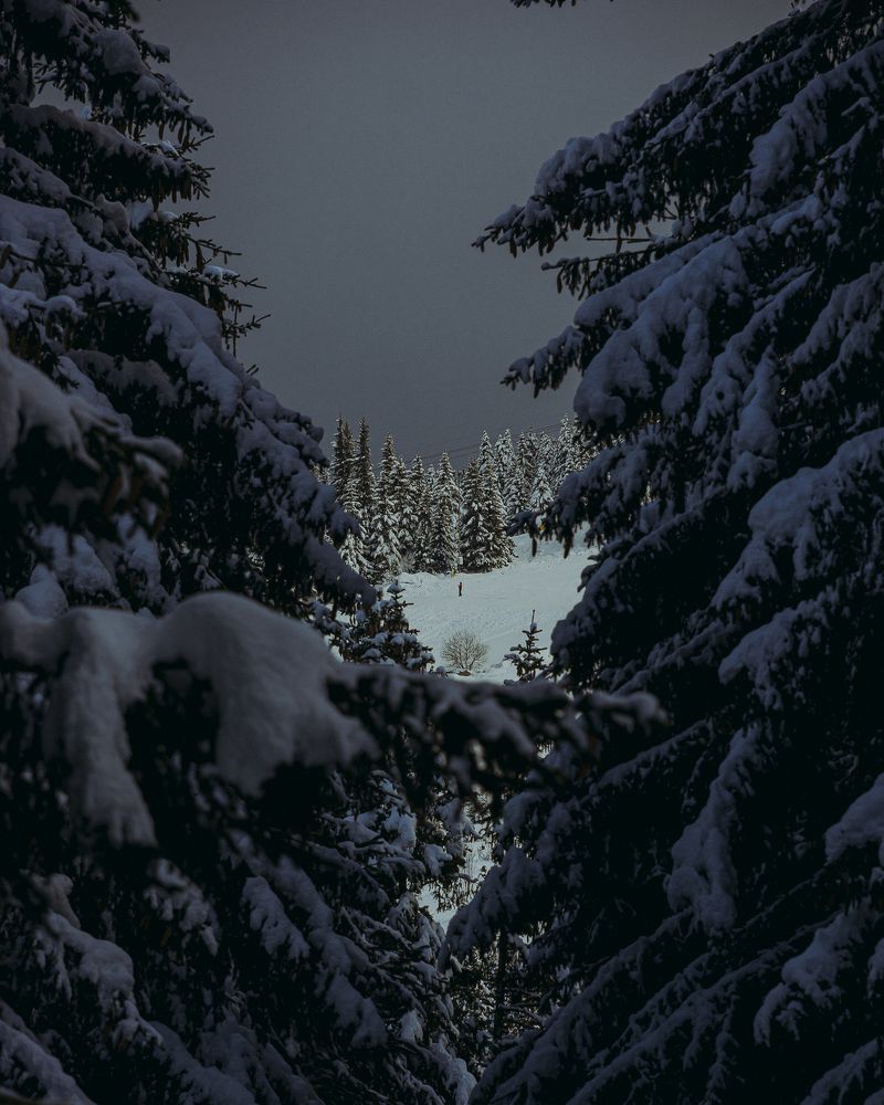 Photograph by Николай