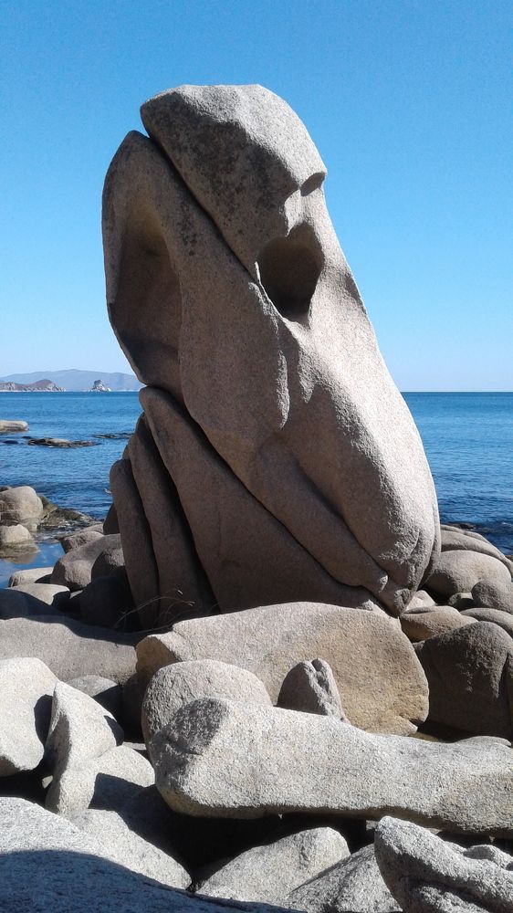 Photograph by Юлия Лихачева