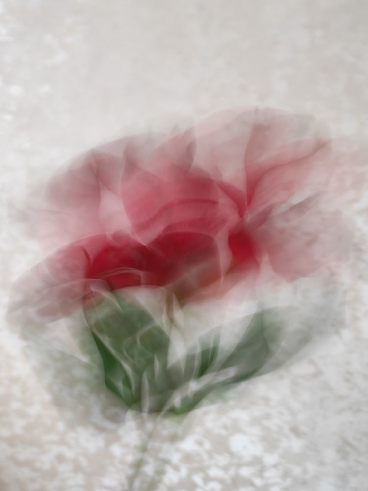 Photograph by Deiltora