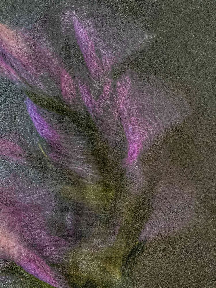 Photograph by Владислава Игошина