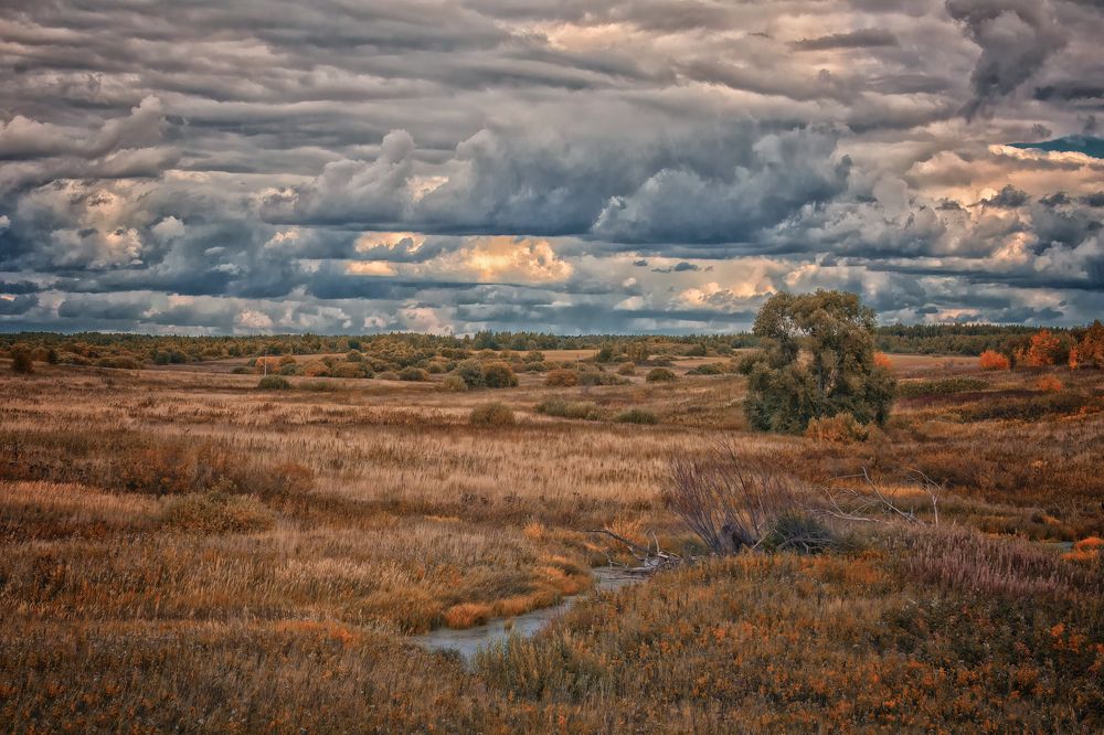 Photograph by Денис Федоров