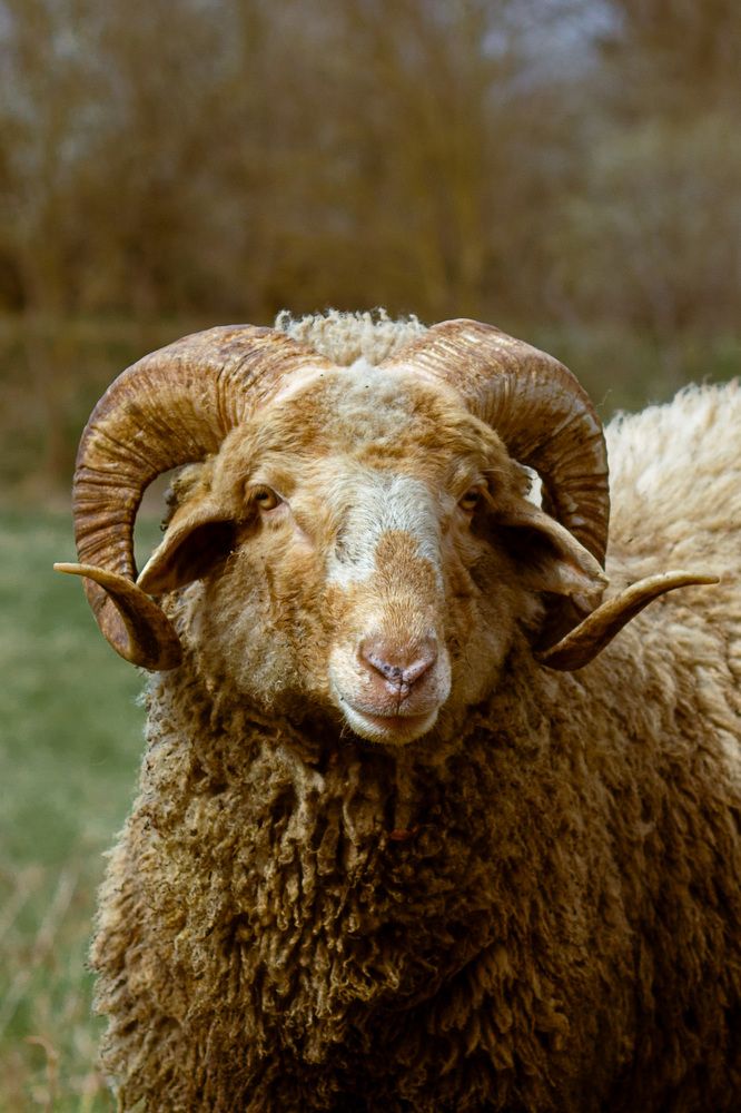 Photograph by Екатерина Талалай