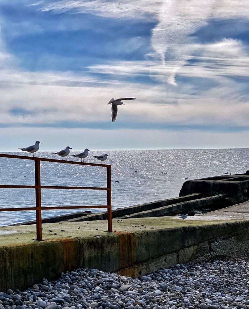 Photograph by Валентина